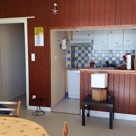 Appartement Vue Océan, Animaux Admis, Parking Privé - Fr-1-194-428 *