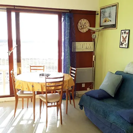 Appartement Vue Océan, Animaux Admis, Parking Privé - Fr-1-194-428 *