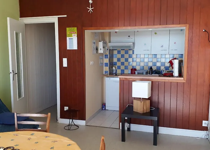 Appartement Vue Océan, Animaux Admis, Parking Privé - Fr-1-194-428 *