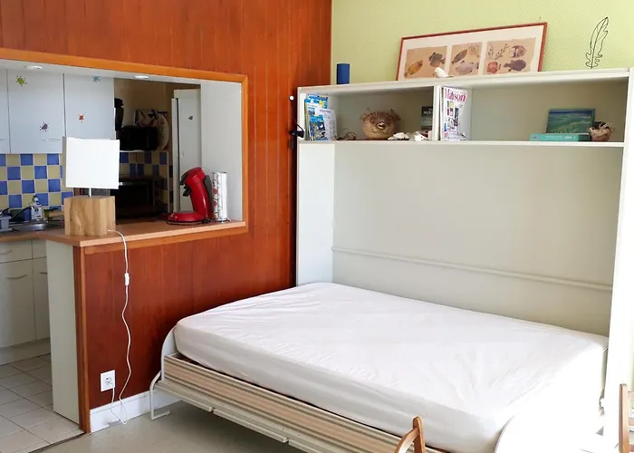 Vue Océan, Animaux Admis, Parking Privé - Fr-1-194-428 Appartement La Faute-sur-Mer