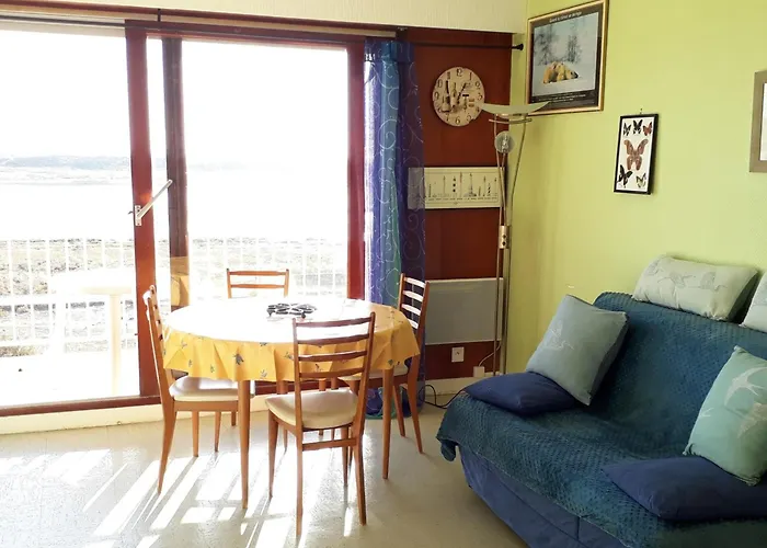 Appartement Vue Océan, Animaux Admis, Parking Privé - Fr-1-194-428 *