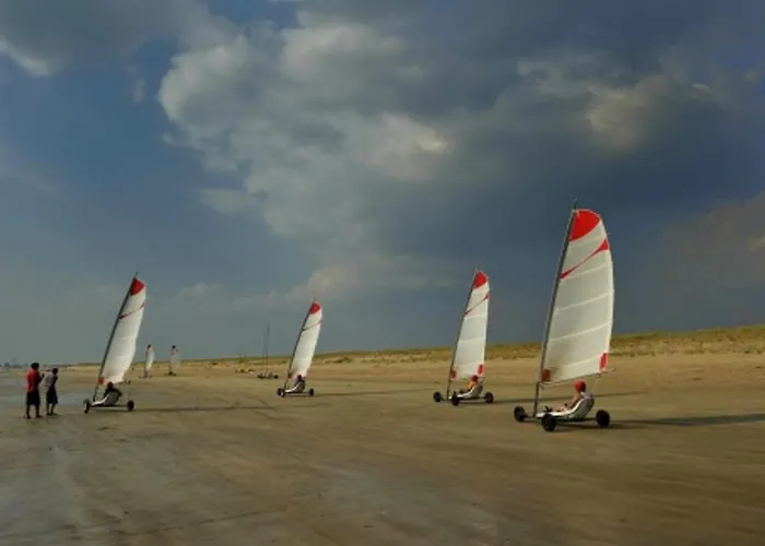 Vue Océan, Animaux Admis, Parking Privé - Fr-1-194-428