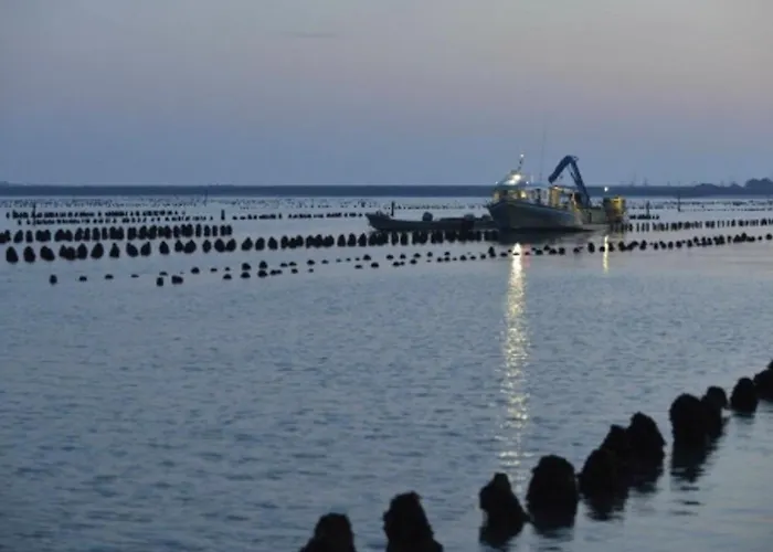 Appartement Vue Océan, Animaux Admis, Parking Privé - Fr-1-194-428 La Faute-sur-Mer